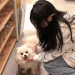 三国急攻防bt版下载